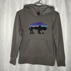 Patagonia Gray Roy Fitz Hoodie